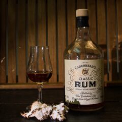 Start To Rum Tasting